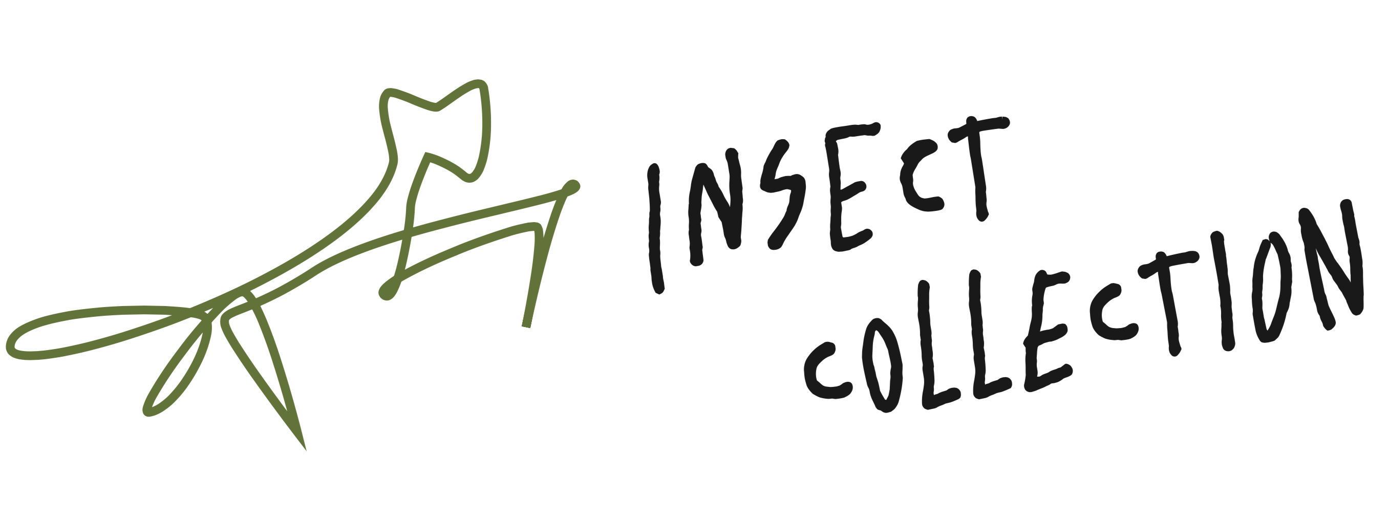 紀伊國屋書店：【フェア】香川照之さんプロデュース 昆虫服育ブランド『Insect Collection』期間限定販売のお知らせ
