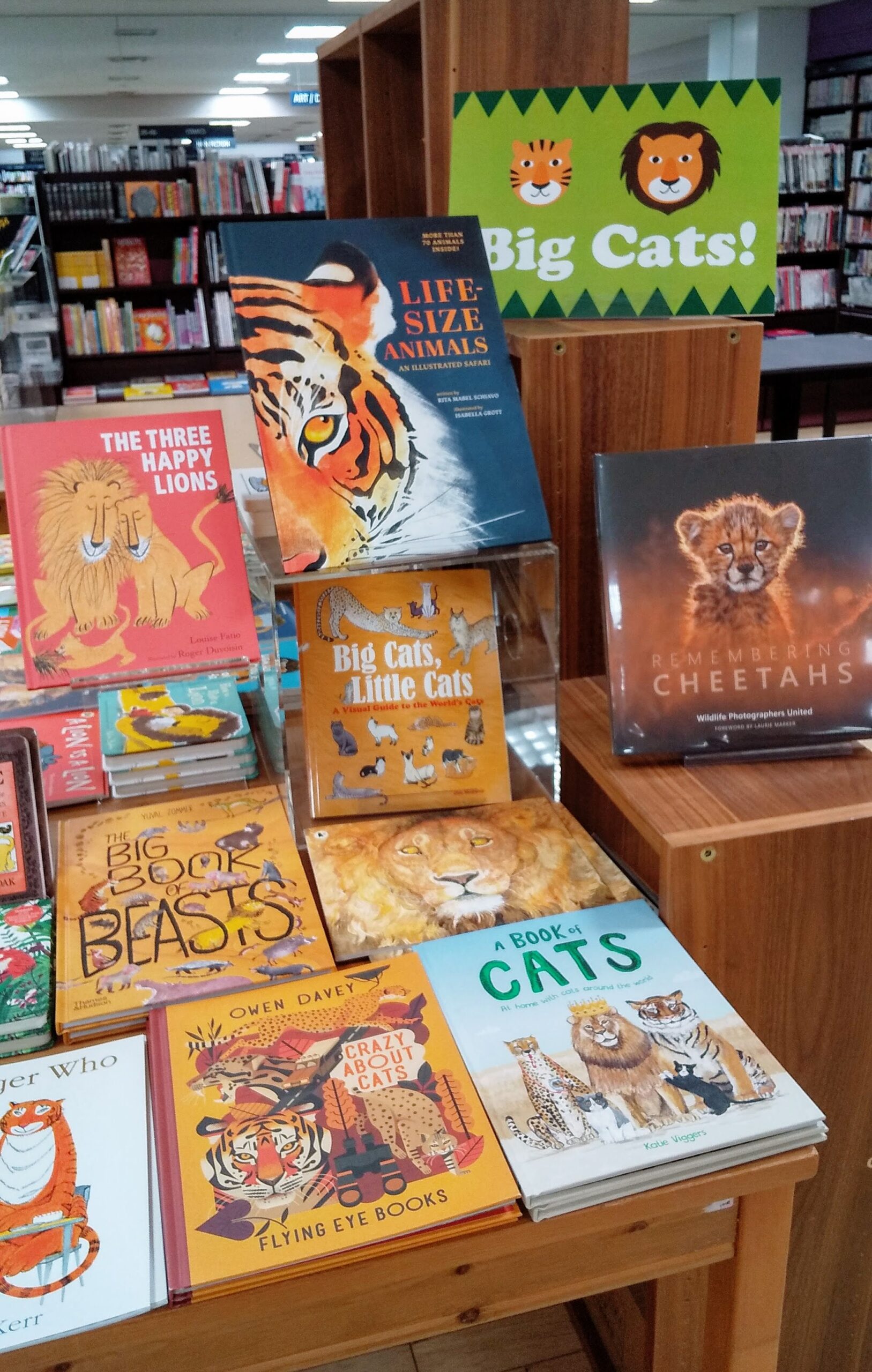 紀伊國屋書店：Books Kinokuniya Tokyo | Big Cats フェア